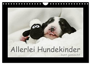 Köntopp, Kathrin. Allerlei Hundekinder (Wandkalender 2024 DIN A4 quer), CALVENDO Monatskalender - ...bunt gemischt. Calvendo Verlag, 2023.