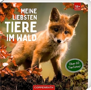 Meine liebsten Tiere im Wald. Coppenrath, 2023.