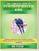 The Complete Guide to Hyacinth Macaw Bird