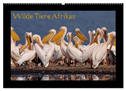 Wilde Tiere Afrikas (Wandkalender 2025 DIN A2 quer), CALVENDO Monatskalender