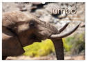 Jumbo Auf den Spuren der Elefanten in Namibia (Wandkalender 2025 DIN A3 quer), CALVENDO Monatskalender