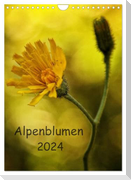 Alpenblumen 2024 (Wandkalender 2024 DIN A4 hoch), CALVENDO Monatskalender