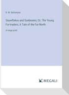 Snowflakes and Sunbeams; Or, The Young Fur-traders, A Tale of the Far North