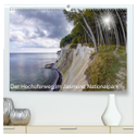 Der Hochuferweg im Jasmund Nationalpark (hochwertiger Premium Wandkalender 2025 DIN A2 quer), Kunstdruck in Hochglanz