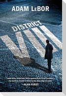 District VIII
