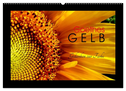 Goethes Gelb Gedanken zur Farbe (Wandkalender 2025 DIN A2 quer), CALVENDO Monatskalender