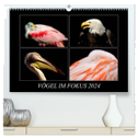 Vögel im Fokus 2024 (hochwertiger Premium Wandkalender 2024 DIN A2 quer), Kunstdruck in Hochglanz