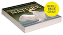 Audubon Nature Page-A-Day(r) Gallery Calendar Refill Pack 2026