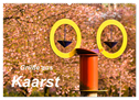 Grüße aus Kaarst (Wandkalender 2025 DIN A2 quer), CALVENDO Monatskalender