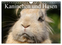 Kaninchen und Hasen (Wandkalender 2024 DIN A4 quer), CALVENDO Monatskalender