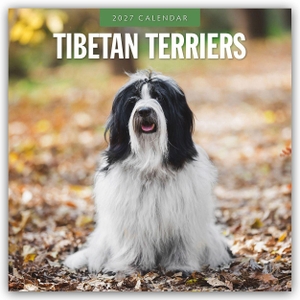 Red, Robin. Tibetan Terriers - Tibet Terrier 2027 - 16-Monatskalender - Original Red Robin Publishing Ltd-Kalender [Mehrsprachig] [Kalender]. Browntrout Verlags GmbH, 2026.