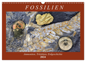 Fossilien - Ammoniten, Trilobiten, Erdgeschichte (Wandkalender 2024 DIN A3 quer), CALVENDO Monatskalender