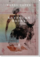 Kaybolan Bacak