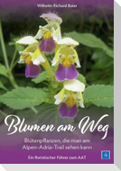 Blumen am Weg