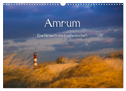 Amrum - Eine farbenfrohe Insellandschaft (Wandkalender 2024 DIN A3 quer), CALVENDO Monatskalender