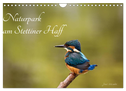 Naturpark am Stettiner Haff (Wandkalender 2024 DIN A4 quer), CALVENDO Monatskalender