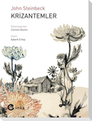 Krizantemler