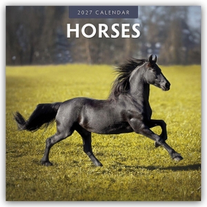 Red, Robin. Horses - Pferde 2027 - 16-Monatskalender - Original Red Robin Publishing Ltd-Kalender [Mehrsprachig] [Kalender]. Browntrout Verlags GmbH, 2026.