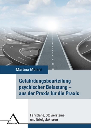 Molnar, Martina (Hrsg.). Gefährdungsbeurteilung psychischer Belastung  aus der Praxis für die Praxis - Fahrplan, Stolpersteine und Erfolgsfaktoren. Asanger Verlag GmbH, 2017.
