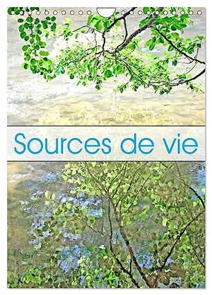 Thébault, Patrice. Sources de vie (Calendrier mural 2024 DIN A4 horizontal), CALVENDO calendrier mensuel - Rivières et cascades en Occitanie. Calvendo, 2023.