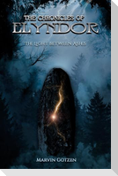 The Chronicles Of Elyndor (Band 1)