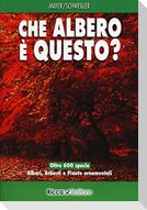 Che albero è questo?