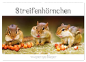 Streifenhörnchen - neugierige Nager (Wandkalender 2024 DIN A2 quer), CALVENDO Monatskalender