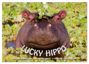 Emotional Moments: Lucky Hippo / UK-Version (Wall Calendar 2025 DIN A3 landscape), CALVENDO 12 Month Wall Calendar
