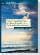 Turkey¿s Naval Activism