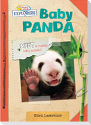 Baby Panda