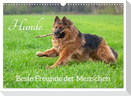 Hunde - Beste Freunde der Menschen (Wandkalender 2025 DIN A3 quer), CALVENDO Monatskalender