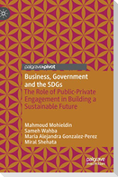 Business, Government and the SDGs