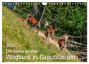 Die Natur erleben - Wildtiere in Graubünden (Wandkalender 2024 DIN A4 quer), CALVENDO Monatskalender