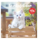 Samtpfötchen 2027
