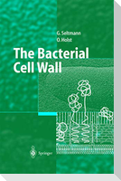 The Bacterial Cell Wall