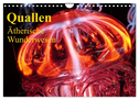 Quallen ¿ Ätherische Wunderwesen (Wandkalender 2024 DIN A4 quer), CALVENDO Monatskalender