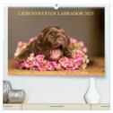 Liebenswerter Labrador 2025 (hochwertiger Premium Wandkalender 2025 DIN A2 quer), Kunstdruck in Hochglanz