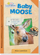 Baby Moose