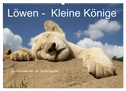 Löwen - Kleine Könige (Wandkalender 2024 DIN A2 quer), CALVENDO Monatskalender