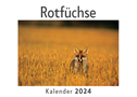 Rotfüchse (Wandkalender 2024, Kalender DIN A4 quer, Monatskalender im Querformat mit Kalendarium, Das perfekte Geschenk)