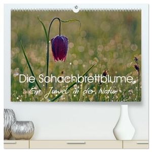 Klapp, Lutz. Die Schachbrettblume (hochwertiger Premium Wandkalender 2024 DIN A2 quer), Kunstdruck in Hochglanz - So zart und selten, begeistert uns Naturfreunde diese Schachbrettblume. Calvendo Verlag, 2023.