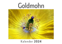 Goldmohn (Wandkalender 2024, Kalender DIN A4 quer, Monatskalender im Querformat mit Kalendarium, Das perfekte Geschenk)
