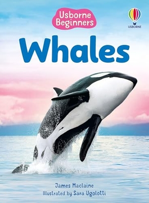 Maclaine, James. Whales (Usborne Beginners). Usborne Books, 2025.