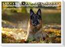 Deutsche Schäferhunde - Traumhunde (Tischkalender 2024 DIN A5 quer), CALVENDO Monatskalender