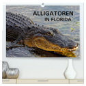 ALLIGATOREN in Florida (hochwertiger Premium Wandkalender 2025 DIN A2 quer), Kunstdruck in Hochglanz