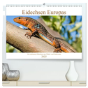 Eidechsen Europas (hochwertiger Premium Wandkalender 2025 DIN A2 quer), Kunstdruck in Hochglanz
