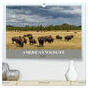 American Wildlife (hochwertiger Premium Wandkalender 2025 DIN A2 quer), Kunstdruck in Hochglanz