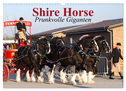 Shire Horse ¿ Prunkvolle Giganten (Wandkalender 2024 DIN A3 quer), CALVENDO Monatskalender