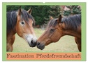 Faszination Pferdefreundschaft (Wandkalender 2025 DIN A2 quer), CALVENDO Monatskalender