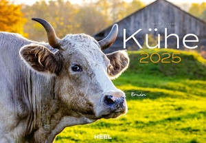 Klein, J. -L. / M. -L. Hubert. Kühe Kalender 2025 - Der Tierkalender mit den charmanten Namen. Heel Verlag GmbH, 2024.